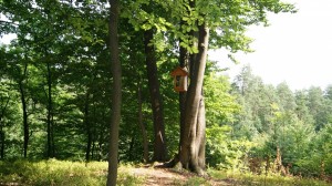 kapliczka  (7)    