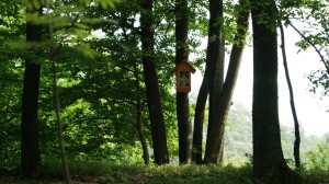 kapliczka  (9)    